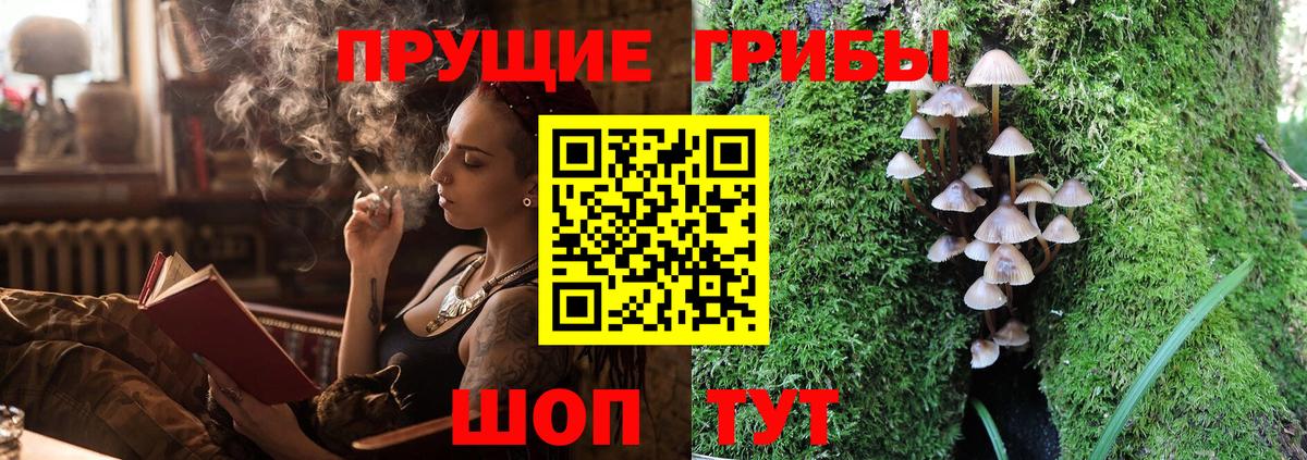 Галлюциногенные грибы MAGIC MUSHROOMS Тимашёвск