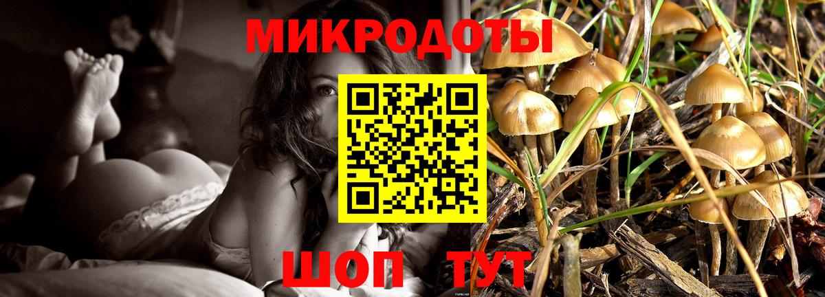Псилоцибиновые грибы мухоморы  Галлюциногенные грибы мухоморы  Тимашёвск  Вход с VPN 